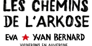 domain-new-1747200921164-68242b9a566e9